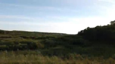 Boreal forest scenes in Canada