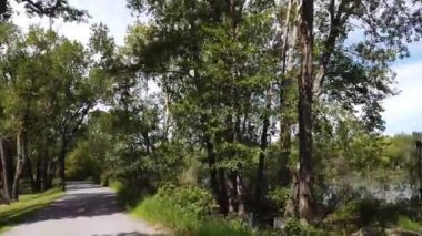 Calgary Alberta Canada in the summer