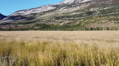 Jasper Alberta in the late fall