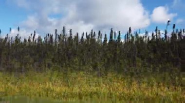 Northern Ontario in the late summer