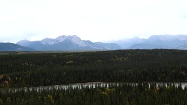 Boreal ormanı Kanada