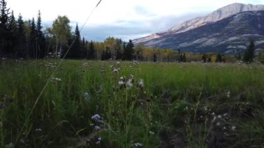 Jasper Alberta in the fall