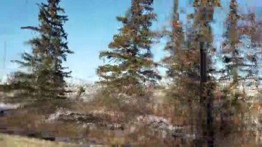 Edmonton in the late summer