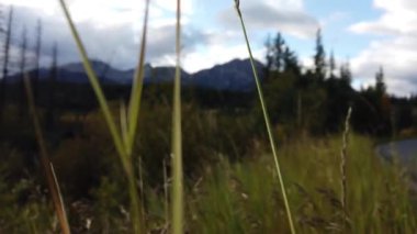 Jasper Alberta in the autumn