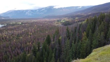 Jasper Alberta in the fall