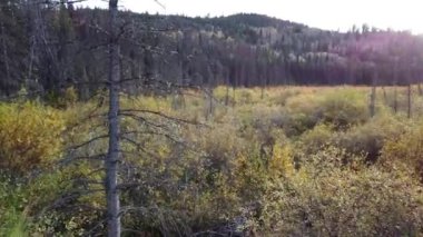 Jasper Alberta in the autumn