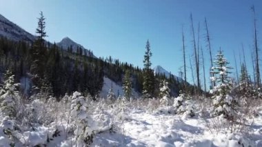Banff Albert Canada scenes