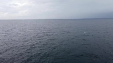 On the ferry to Vancouver Island