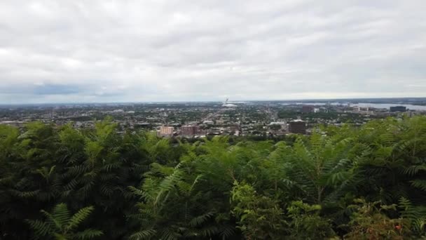 Montreal Quebec Canada Summer — 图库视频影像