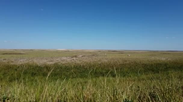 Grasslands Canadian Prairies — Stockvideo