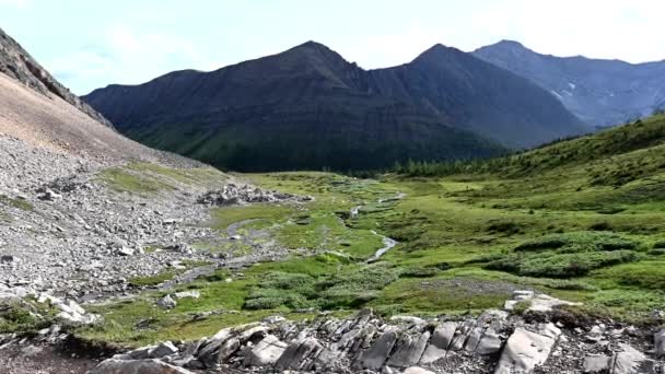 Канадские Скалистые Горы Летом — стоковое видео