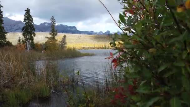 Jasper Alberta Autumn — Wideo stockowe