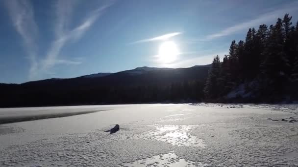 Jasper Alberta Late Fall — Stock Video