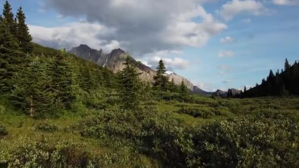 Kananaskis Country Летом — стоковое видео