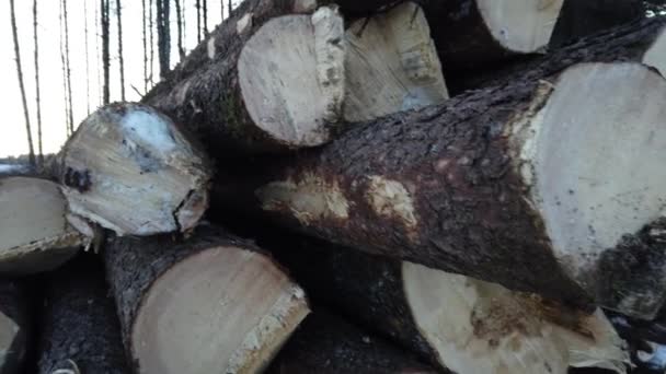 Logging Various Areas Canada — Stok video