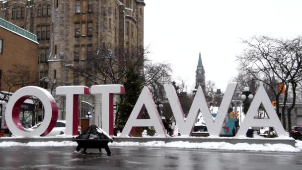 Ottawa Canada Winter — Stock video
