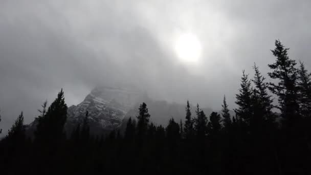 Banff Alberta Canada Summer — Stok Video