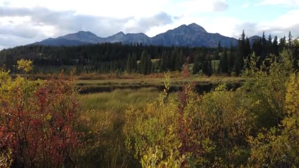 Jasper Alberta Autumn — Stock Video