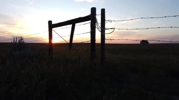 Canadian Prairies Scene Summer — Stockvideo