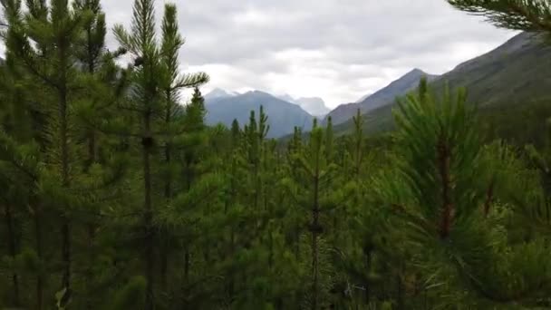 Banff Albert Canada Scenes — Vídeo de stock