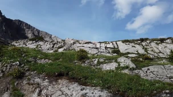 Rocheuses Canadiennes Été — Video