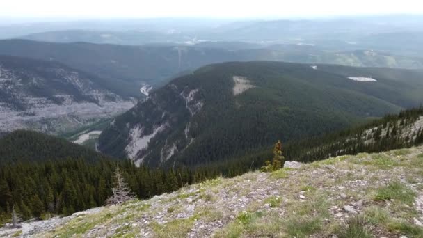 夏のカナダのロッキー山脈 — ストック動画
