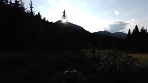 Kananaskis Country Summer — Stok video