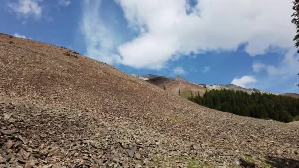 Kananaskis Country Summer — Vídeos de Stock