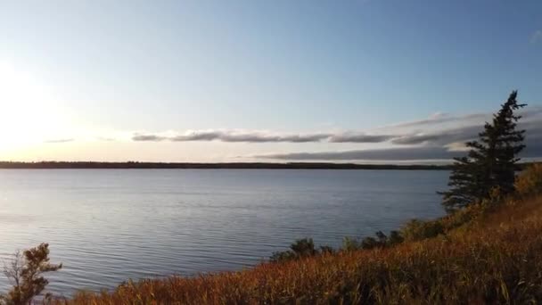 Canadian Prairies Scene Summer — Vídeos de Stock