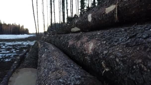 Logging Various Areas Canada — Stock video