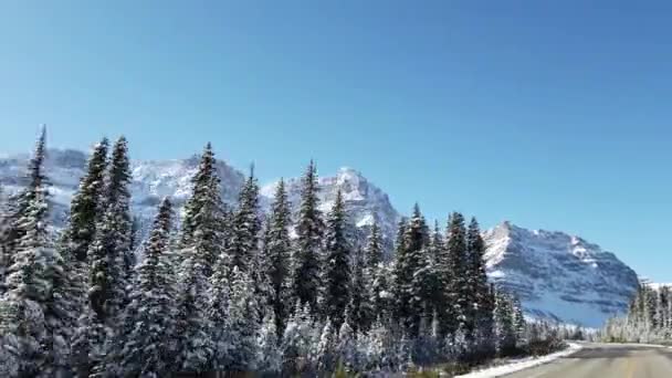 Банф Альберта Канада Взимку — стокове відео