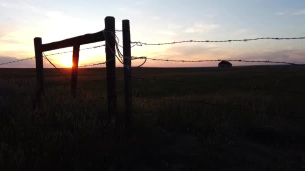 Canadian Prairies Scene Summer — Stockvideo