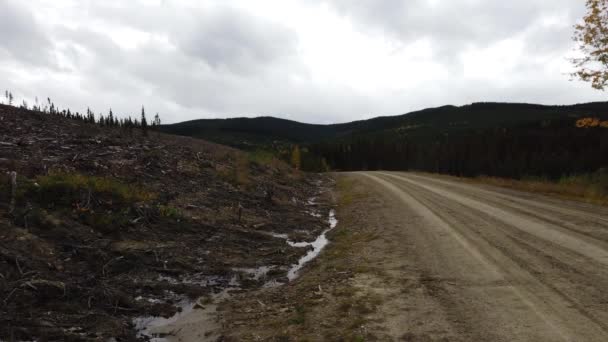 Logging Various Areas Canada — Stockvideo