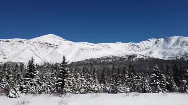 Банф Альберта Канада Зимой — стоковое видео
