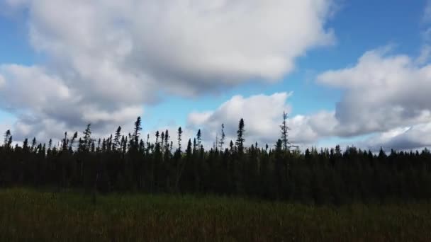 Northern Ontario Late Summer — Stockvideo