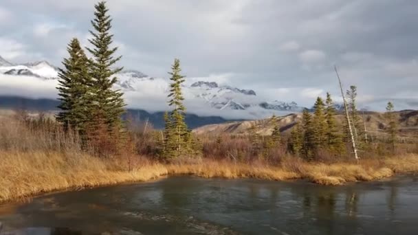 Jasper Alberta Fall — 图库视频影像