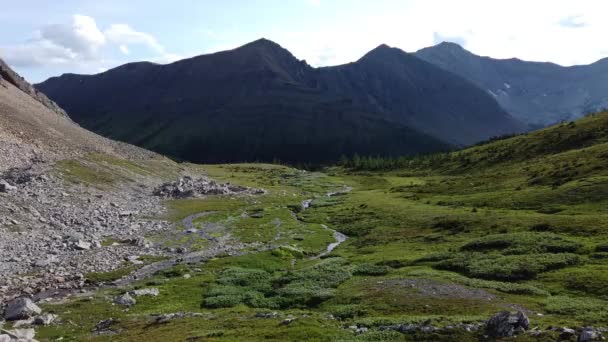 Yazın Kanada Kayalıkları — Stok video