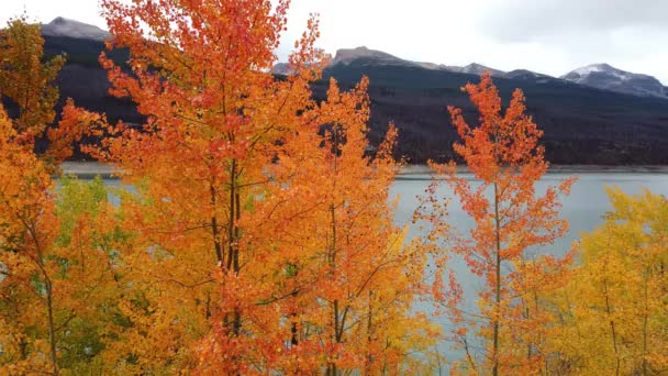 Jasper Alberta Canada Autumn — Stock Video