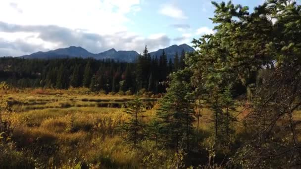 Jasper Alberta Autumn — 图库视频影像