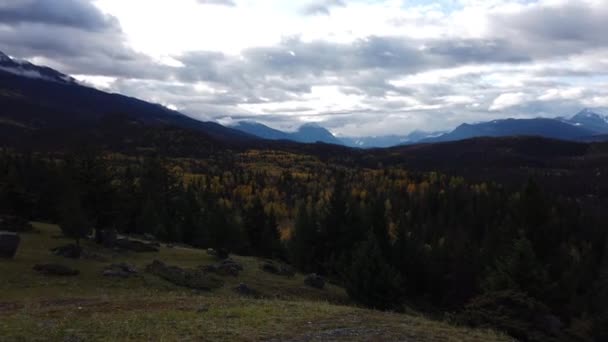 Jasper Alberta Fall — Stock Video