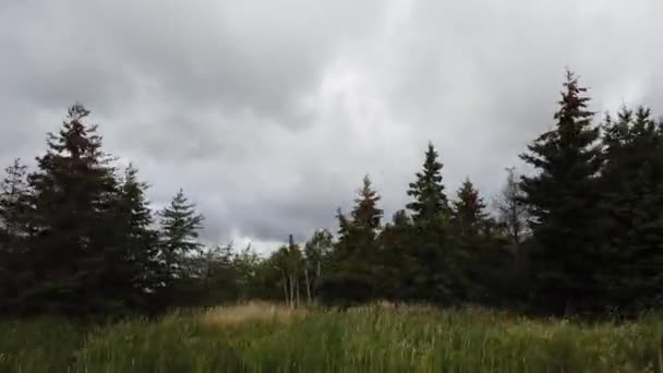 Northern Ontario Late Summer — Stockvideo