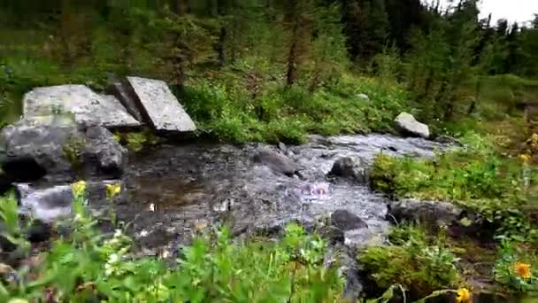 Banff Alberta Canada Scenes — 图库视频影像