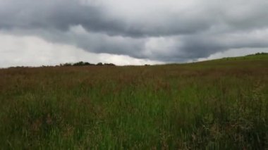 Canadian prairies in the summer