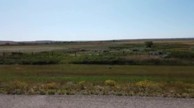 Canadian prairies in the summer