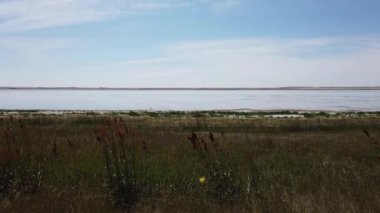 Canadian prairies in the summer