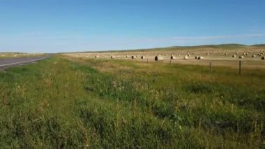 Canadian prairies in the summer
