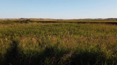 Canadian prairies in the summer