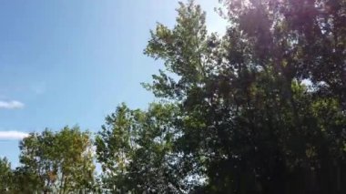 Canadian prairies in the summer