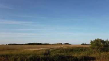 Canadian prairies in the summer