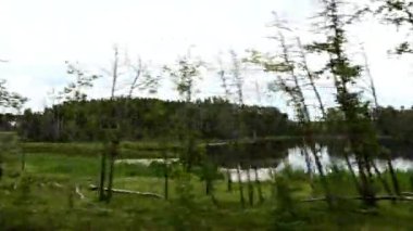 Canadian prairies in the summer